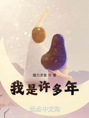 四合院我是许多年全文阅读